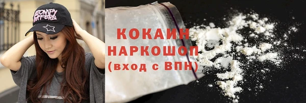 винт Верея