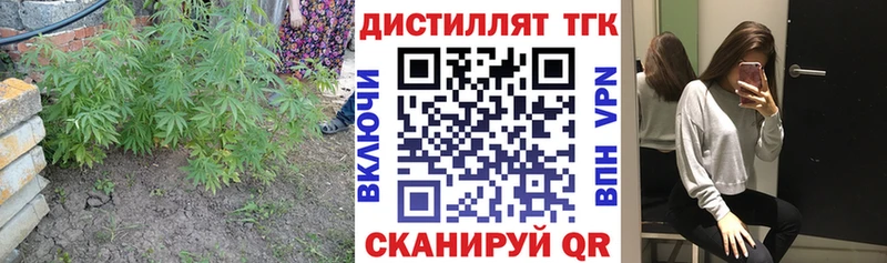 Купить  Таштагол  ТГК THC oil 